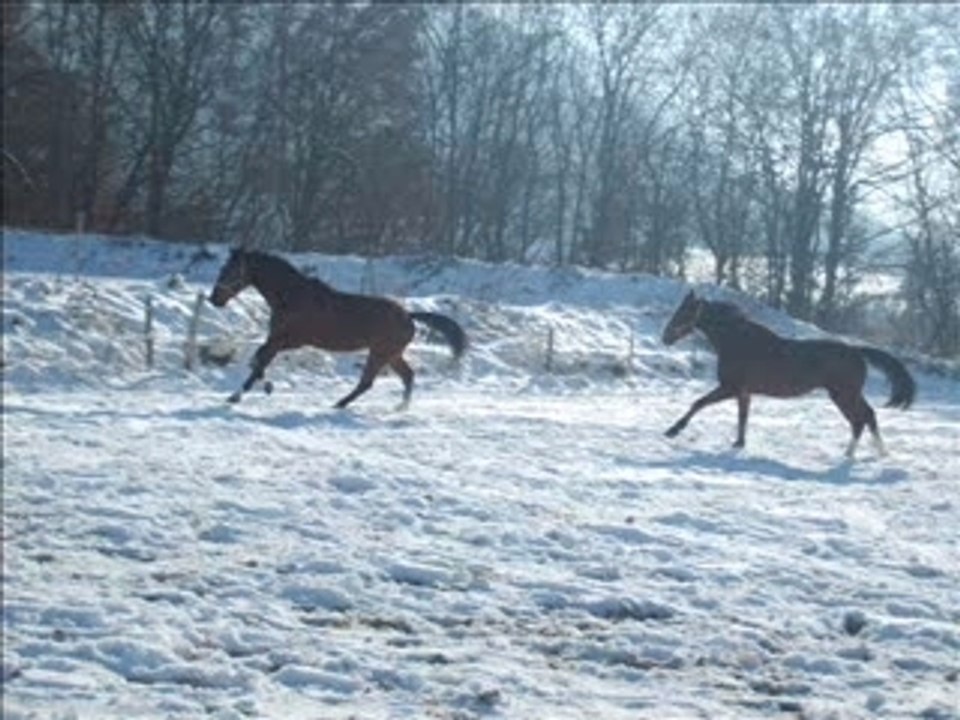 Chester cet hiver