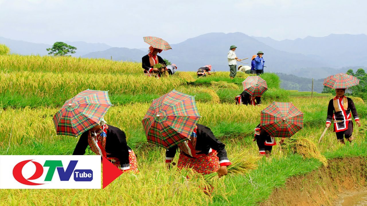 Mê hồn vẻ đẹp Bình Liêu - QTV