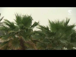 الوطني للأرصاد يتوقع طقسا غائما جزئيا السبت