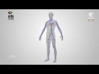 فوائد زبدة الفول السوداني