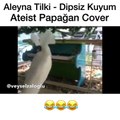 Aleyna Tilki - Dipsiz kuyum Ateist Papağan Cover