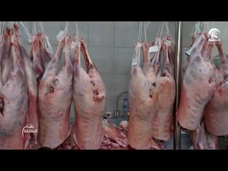 صباح الشارقة: فقرة سوقنا - سوق الجبيل 05/12/16