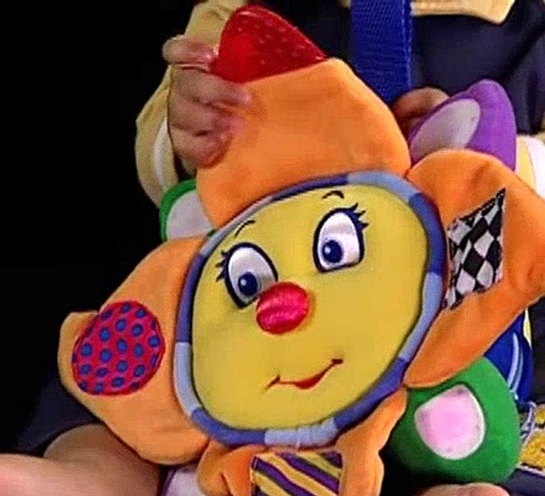 Baby Einstein 18 Baby Galileo Discovering the Sky (09mos) video