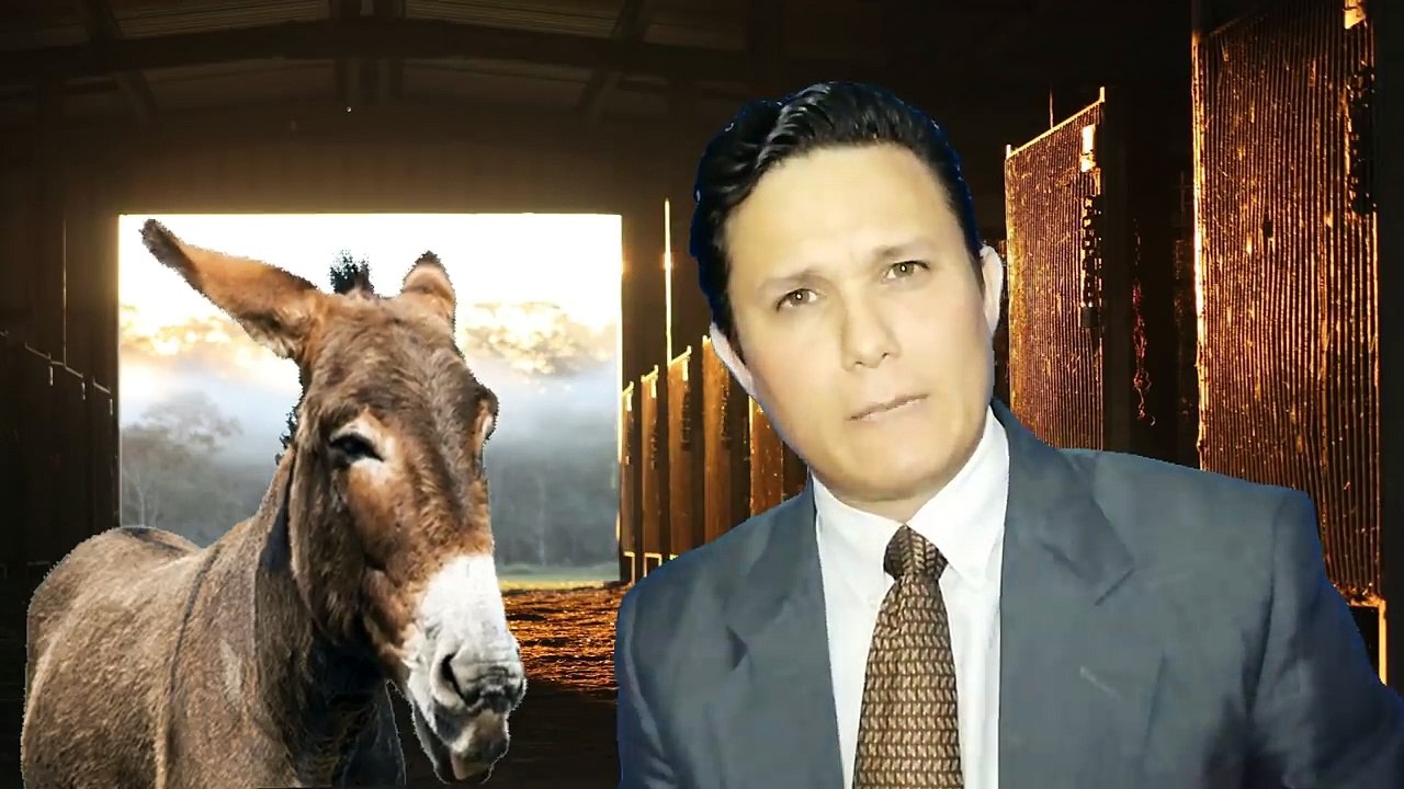 ¡INSÓLITO! BURROS SE DEFIENDEN CONTRA MADURO CON SU ABOGADO