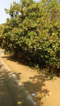 Day out with my mates : Rampachodavaram water falls route