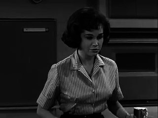 The Dick Van Dyke Show S01 E01