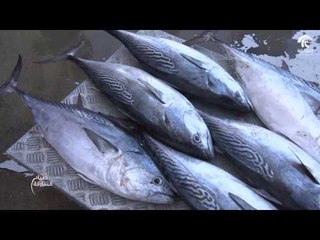 صباح الشارقة: أسعار سوق الجبيل 08/03/2017