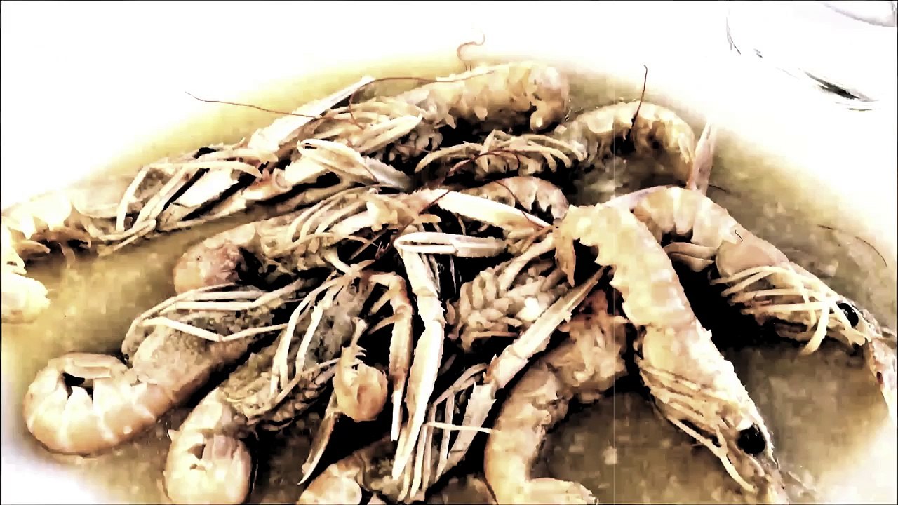 Fast Europa Spirit /Full Film/Complete Movie/Ganzer Film