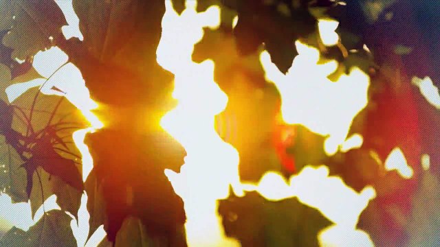 A vendre - Appartement - Bretonnières (1329) - 5.5 pièces - 220m²