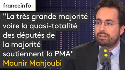 "La très grande majorité voire la quasi-totalité des députés de la majorité soutiennent la PMA" affirme Mounir Mahjoubi