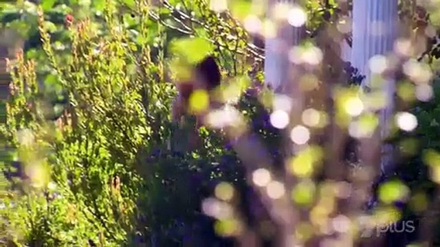 Home and Away 6964 20th September 2018 Part3/3