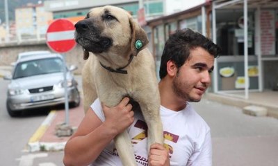 Hasta köpeği sırtında taşıyan genç konuştu