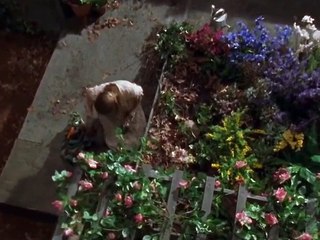 The Outer Limits S07E12  Flower Child