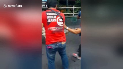 Escaped python sparks panic on busy road during rush hour