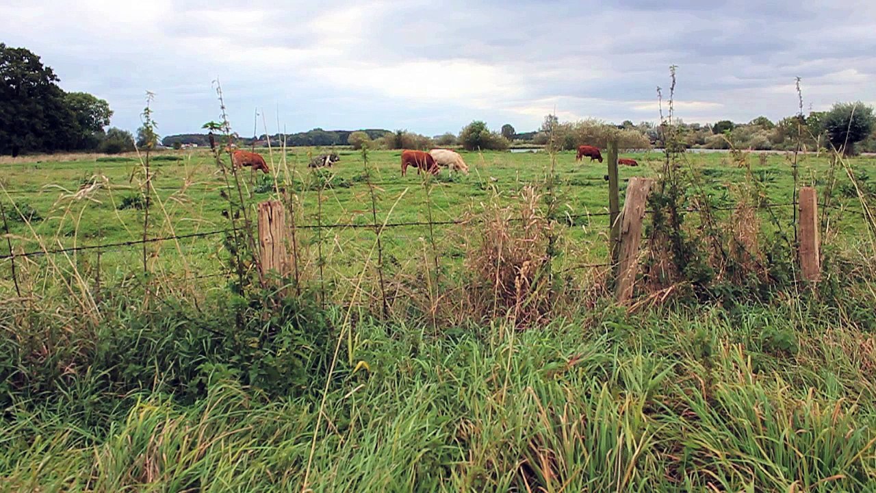 Short break - haseldorf hafen 2014 /full film/complete movie/ganzer film