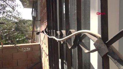 Mersin Yüzde 96 Engelli Naile'nin Evinin Elektriğini Kestiler