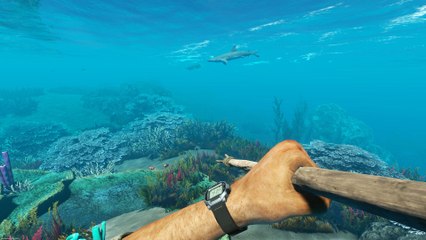 Stranded Deep - Bande-annonce PS4/Xbox One