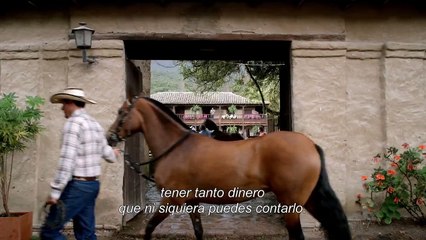 Tráiler - Narcos - Netflix