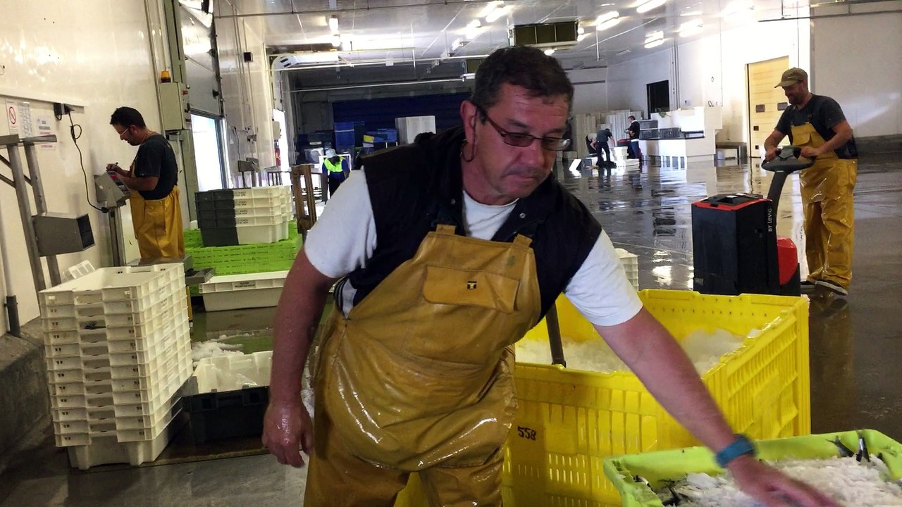 La Vélodyssée de Nantes aux Sables d'Olonne