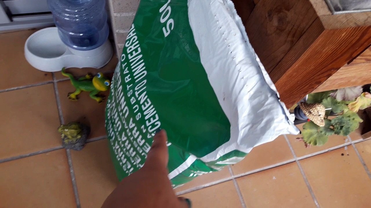 VLOG: mis cejas nuevas - comida riquísima - Aracelli Vlogs