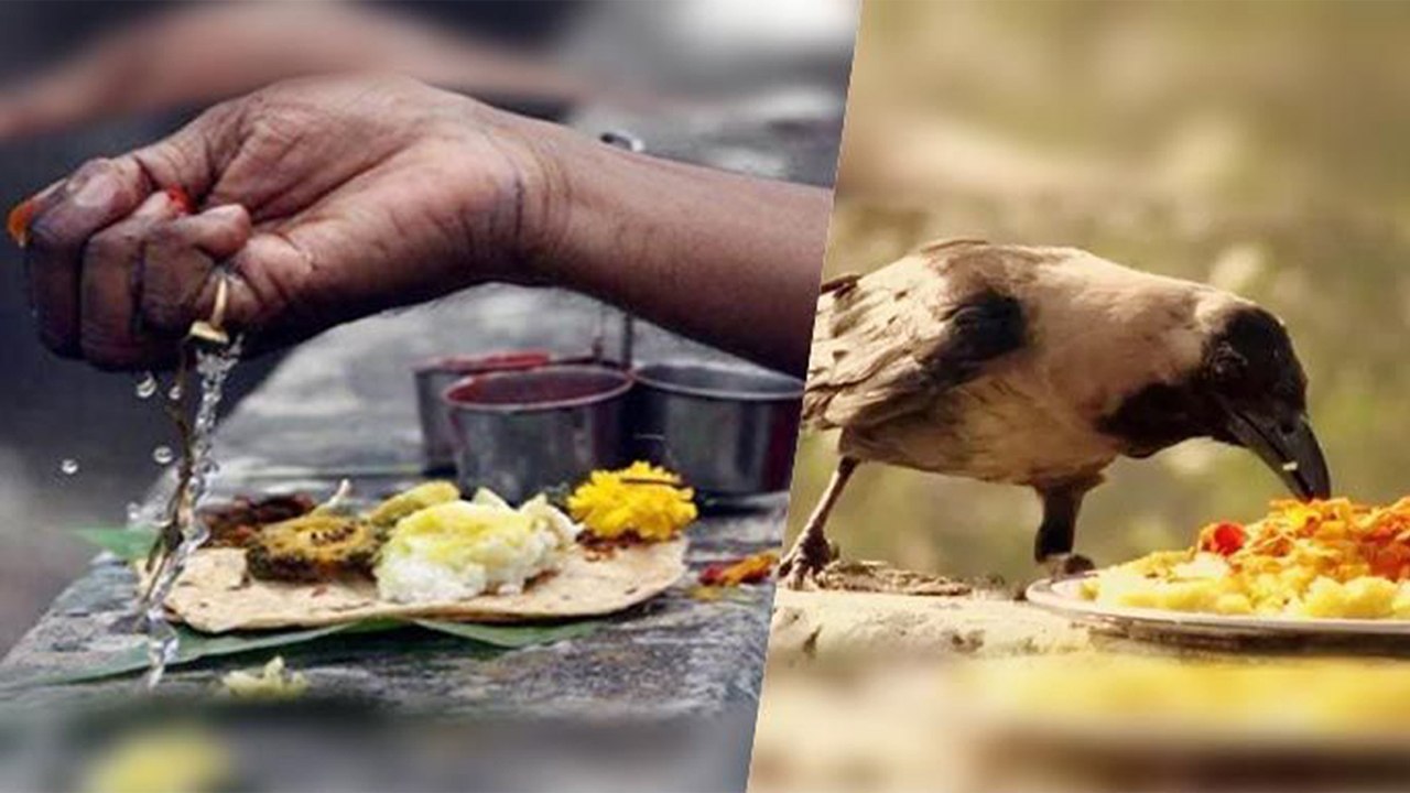 Pitru Paksha: Pind Daan Vidhi at Gaya | जानिए गया में ही क्यों होता है  पिंडदान? | Boldsky - video Dailymotion