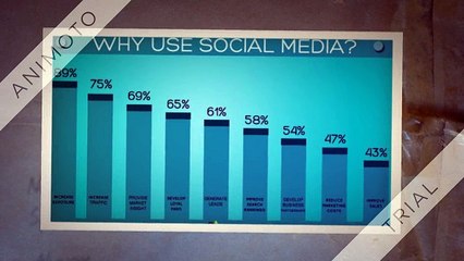 Social Media Marketing Company Raipur