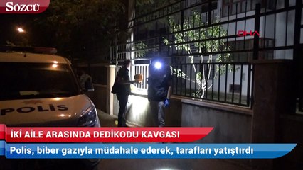 Akraba iki aile arasında dedikodu kavgası