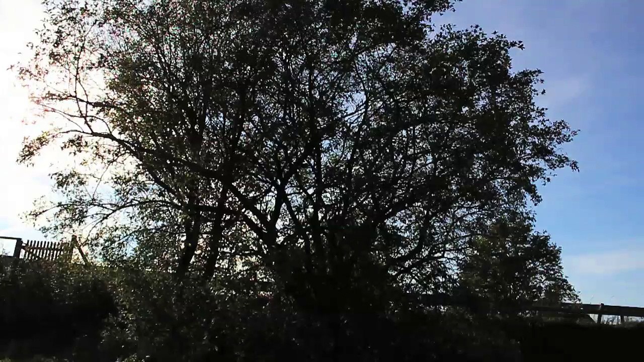 Short Break - Ausfahrt Pinneberg Nord 03 /Full Film/Complete Movie/Ganzer Film