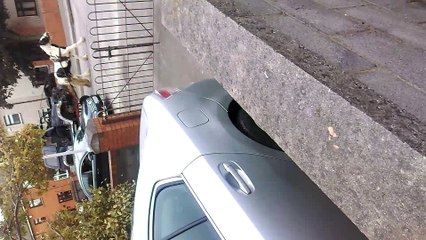 Pimped Out Horse Wagon