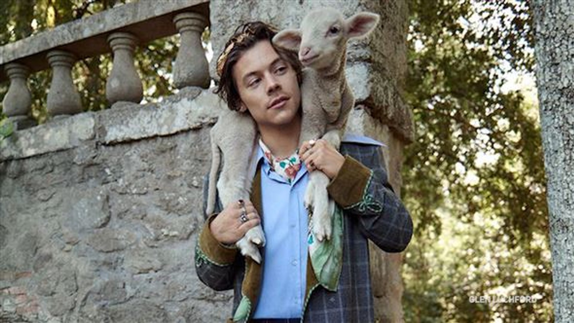 Für Gucci: Harry Styles posiert mit Baby-Tieren