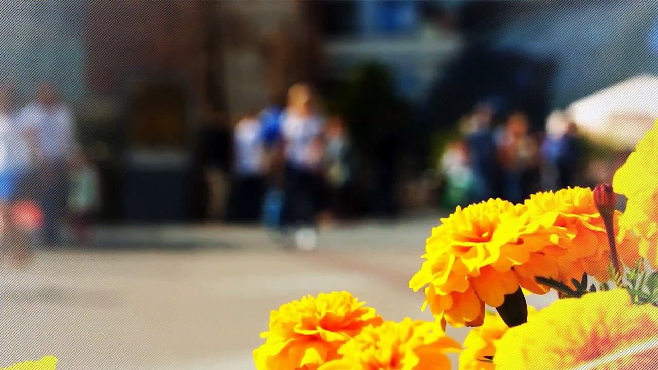 A louer - Appartement - MURET (31600) - 2 pièces - 45m²