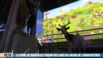 La Foire de Marseille se la joue Salon de l'agriculture