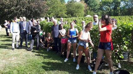 Chambéry : vendanges en musique au Château de Candie