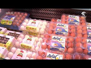 صباح الشارقة.. أحدث الأسعار والسلع في سوق الجبيل