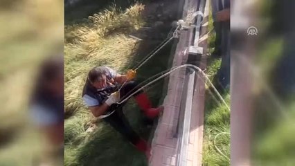 Yavru Köpekler Boğulmak Üzereyken Kurtarıldı