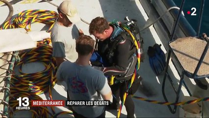 Méditerranée : réparer les dégâts causés par des pneus immergés