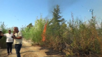 Sorgun Çamlığında Orman Yangını !