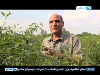 اخر النهار - شبرا بلولة .. قرية الياسمين