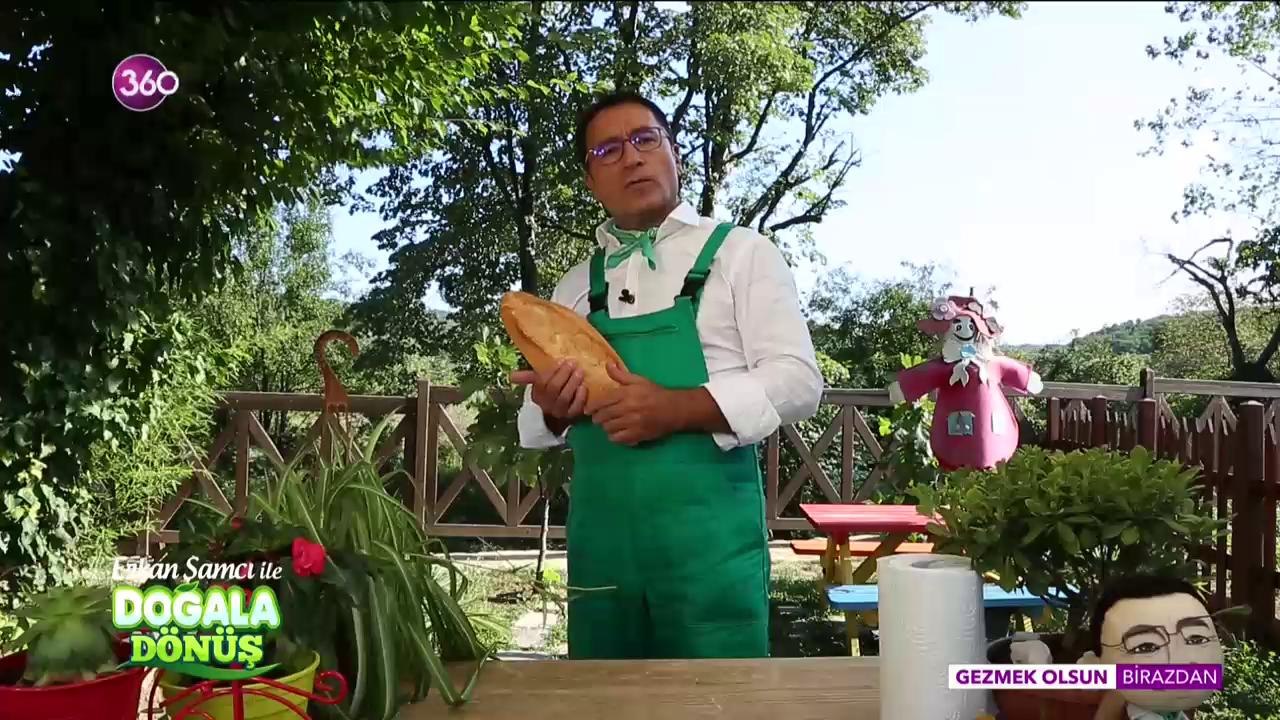 Doğala Dönüş