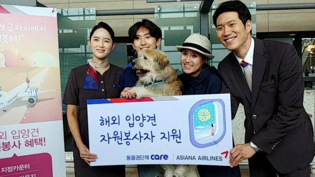 [기업] 아시아나 항공, 해외 입양 유기견 운송 돕는다 / YTN