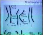 ADN: Marcadores geneticos del sueño (alcohol y cafeina)