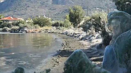 Grecia: una ragnatela di 300 metri avvolge la spiaggia