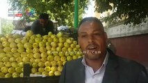 مديرية أمن أسيوط تواصل  تسيير سيارات محملة بالخضروات والفاكهة ومواد غذائية بأسعار مخفضة  ضمن مبادرة 