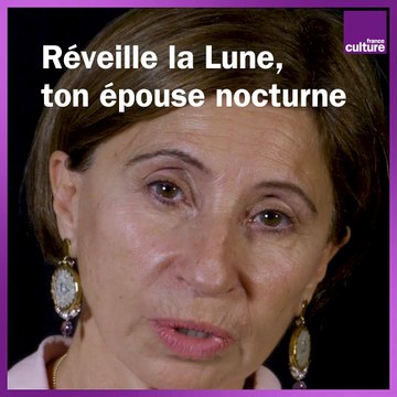 Un monologue de l'Envol des cigognes par Ariane Ascaride