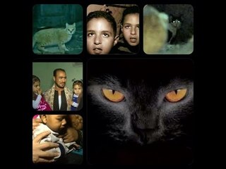 صبايا الخير - ريهام سعيد |معتقدات أهالي الصعيد "ان ارواح اولادهم تسكن القطط "