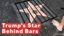Trump's Hollywood Walk Of Fame Star Put Behind Bars