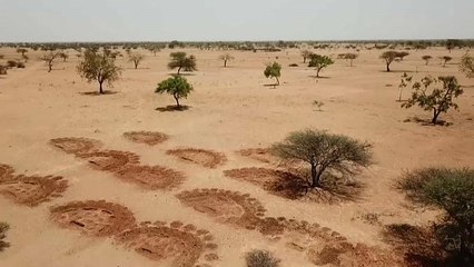 Migranti, l'esperto: "cambiamento climatico è fattore chiave"