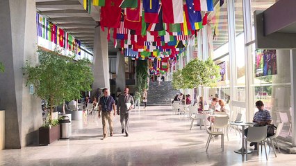 Álcool é responsável por uma morte a cada 20 no mundo