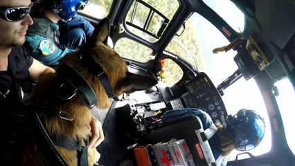 En hélicoptère avec des flairs experts