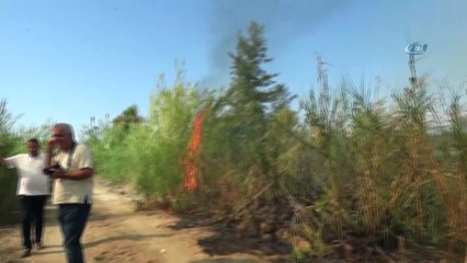 Havai fişekli aşık tutuksuz yargılanacak